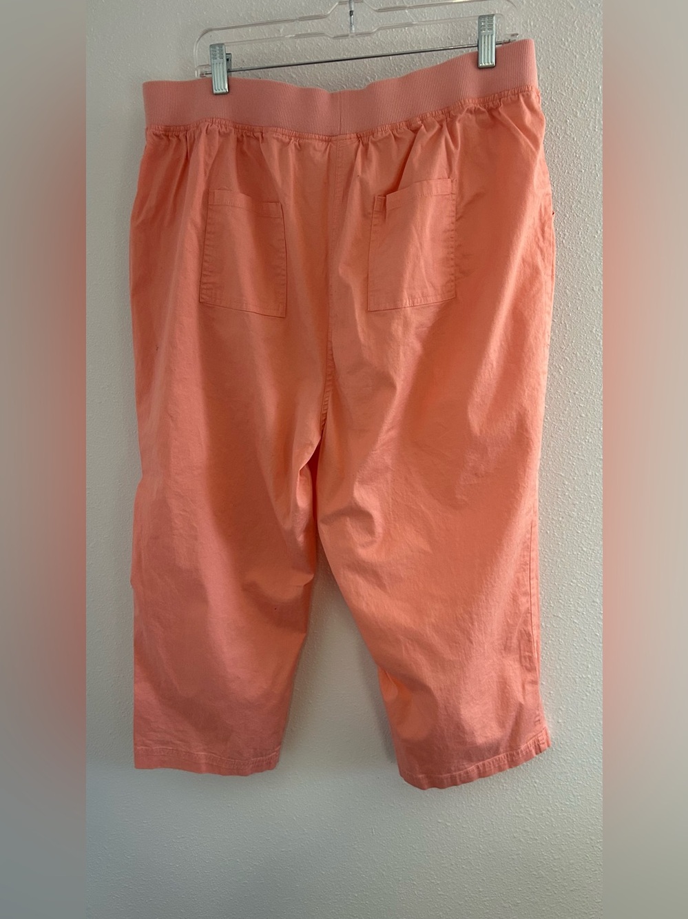 Blair Coral Capri Pants - Picture 2 of 3